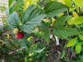 upload_img1