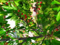 upload_img1