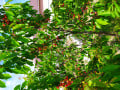 upload_img1