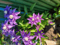 upload_img1