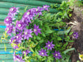 upload_img1
