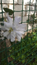 upload_img1