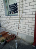 upload_img1