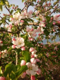 upload_img1