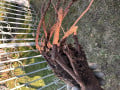 upload_img1