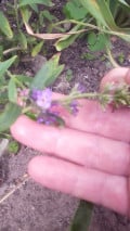 upload_img1