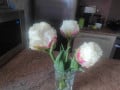 upload_img1
