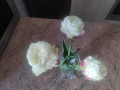 upload_img1