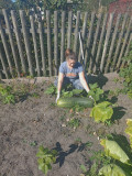upload_img1