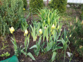 upload_img1
