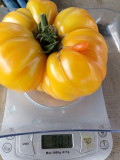 upload_img1