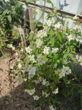 upload_img1