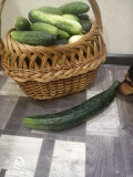 upload_img1