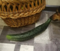 upload_img1