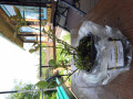 upload_img1