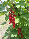 upload_img1