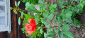 upload_img1