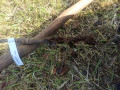 upload_img1