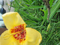 upload_img1