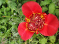 upload_img1