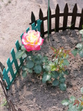 upload_img1