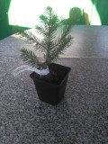 upload_img1