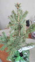 upload_img1