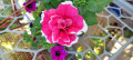 upload_img1
