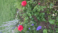 upload_img1