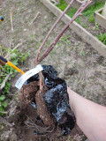 upload_img1
