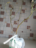 upload_img1