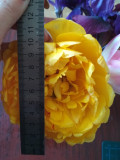 upload_img1