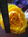 upload_img1
