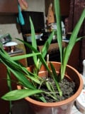 upload_img1
