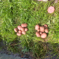 upload_img1