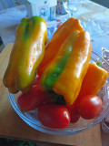 upload_img1