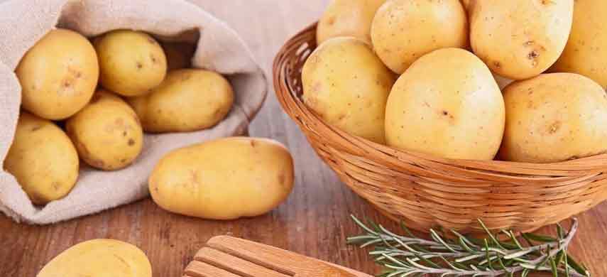 описание, фото и характеристика ранних сортов картофеля фото 8