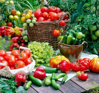 Семена овощей