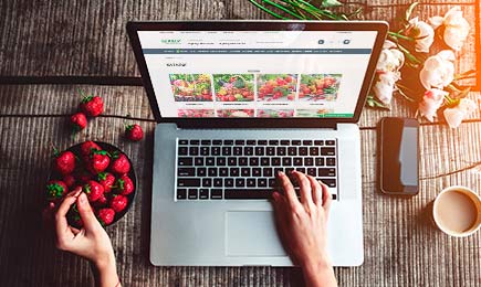 30 рублей за отзыв | Беккер.Бу