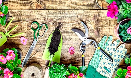 Биостимулятор Корнерост | Беккер.Бу