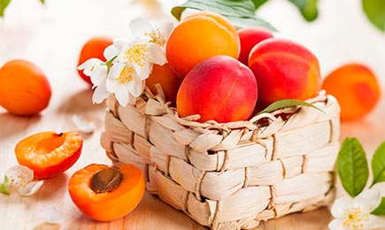 Медовый вкус | Беккер.Бу