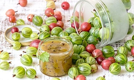 Полезное лакомство | Беккер.Бу