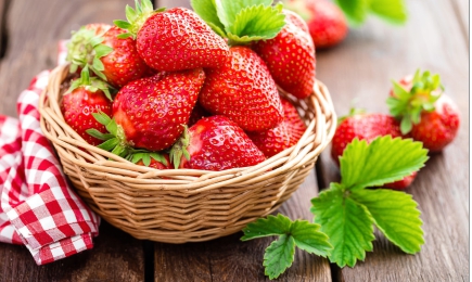 Урожай круглый год | Беккер.Бу