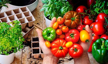 Урожайный огород | Беккер.Бу