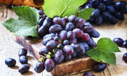 Виноград винный | Беккер.Бу